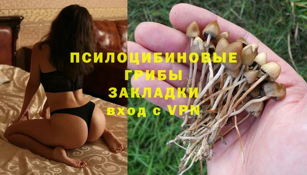 MESCALINE Балахна